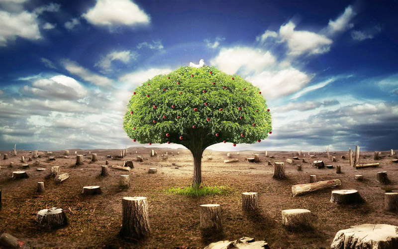 操作臺環?？刂剖疽鈭D